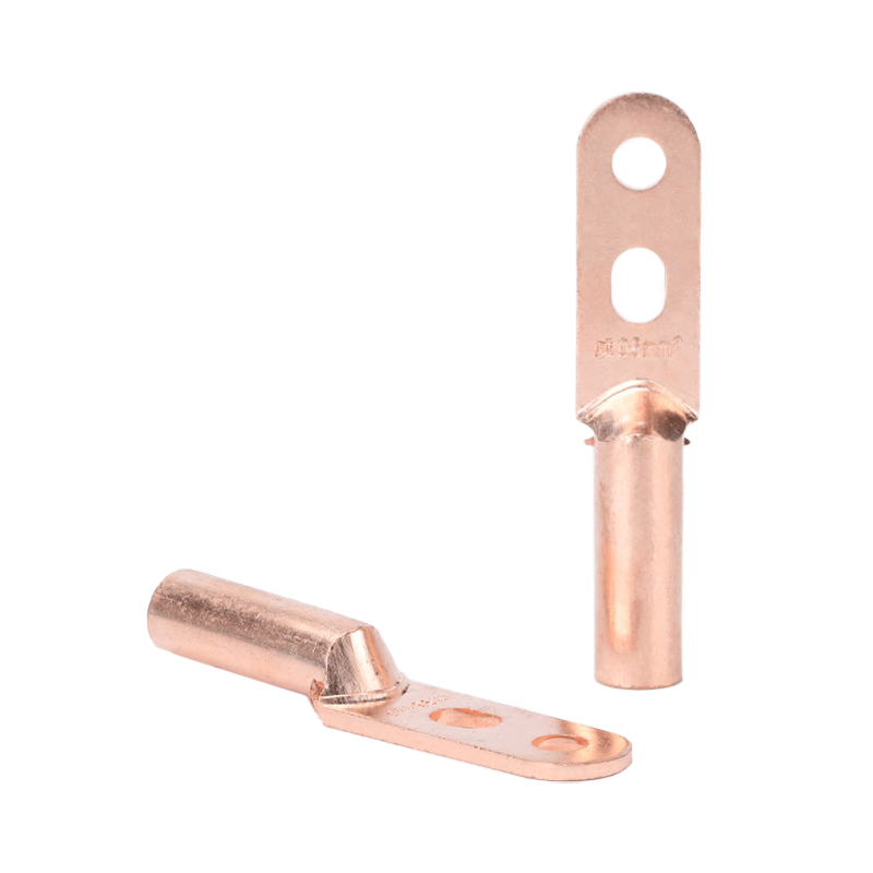 DTS 铜双孔接线端子